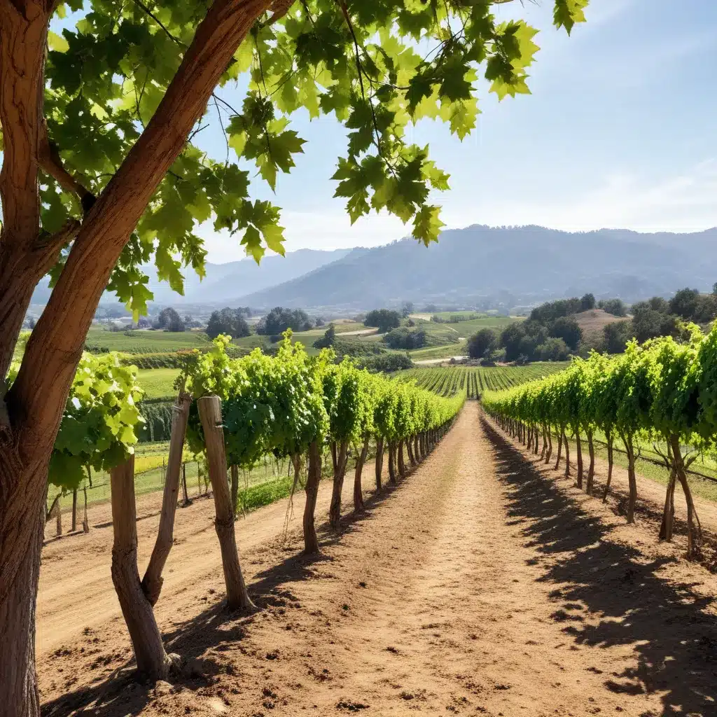 Sustainable Sips: The Rise of Eco-Friendly Wineries in California